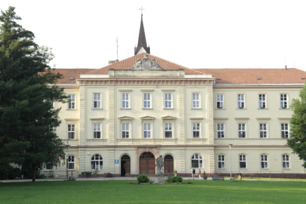 Psychiatrické léčebny praskají ve švech a v nemocnicích je leháro
