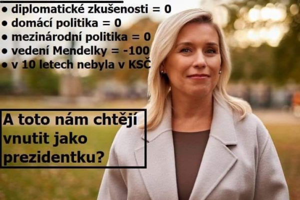 Danuše Nerudová je pro mně jen loutka v rukách jiných