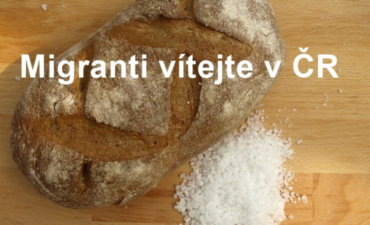 Vítači migrantů potřebují po hubě
