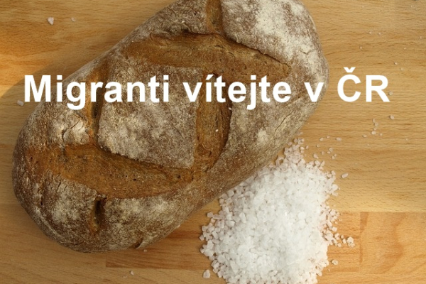 Vítači migrantů potřebují po hubě