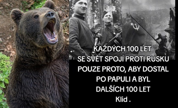 Jak světové nicky vyhlašují válku medvědovi (a jak to pokaždé skončí)