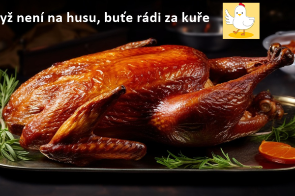 Husa, nebo kuře? Lekce z ekonomiky pro plačky na Hradě i v opozici.