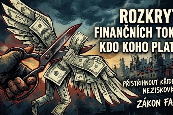 Protivládní se rozhodli lovit paní Vachatovou